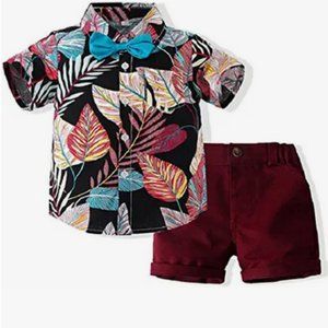 JunNeng Toddler Baby Boy Shorts Sets Hawaiian Outfit,